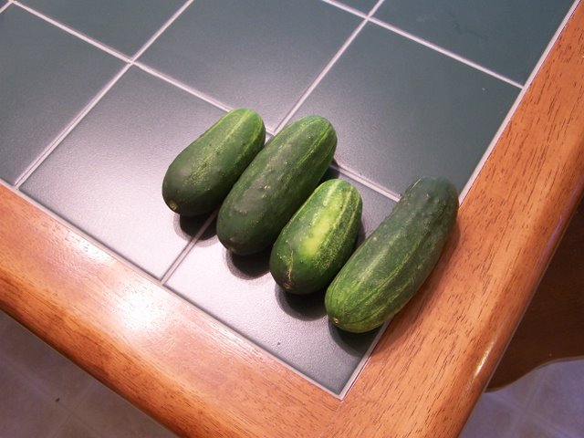 Cucumbers