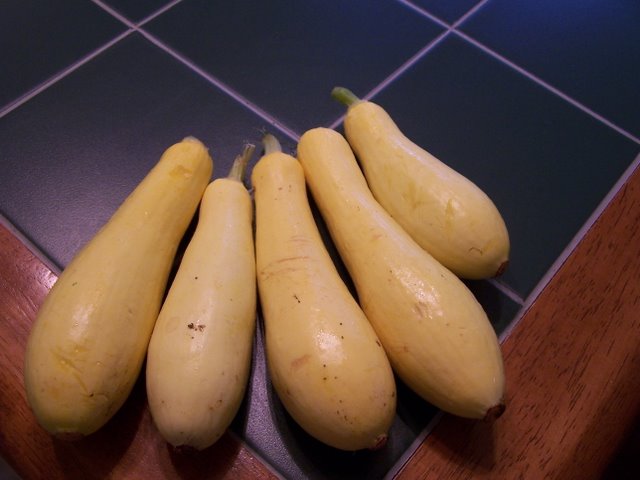 Yellow Squash