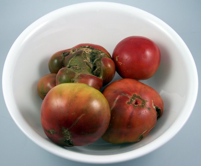 Heirloom Tomatoes