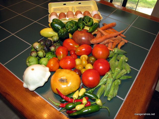 CSA Bounty