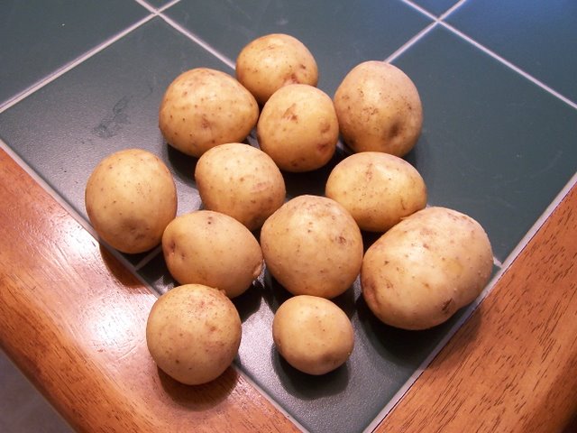 Potatoes