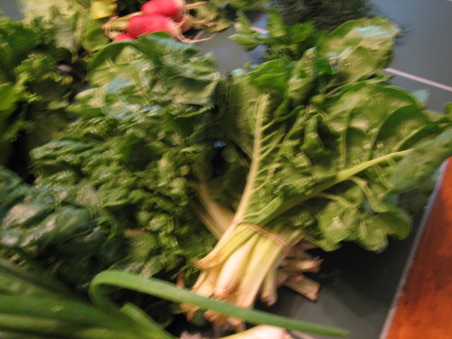 Swiss chard