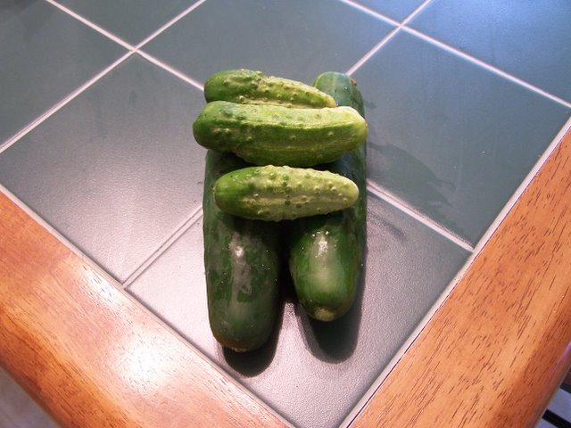 Cucumbers