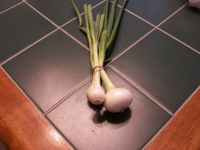 Green Onions