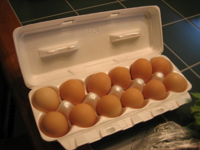 Eggs