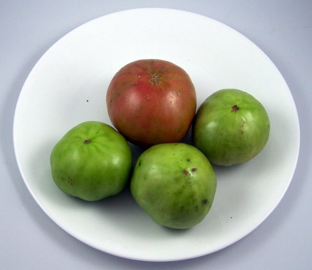 Green Tomatoes