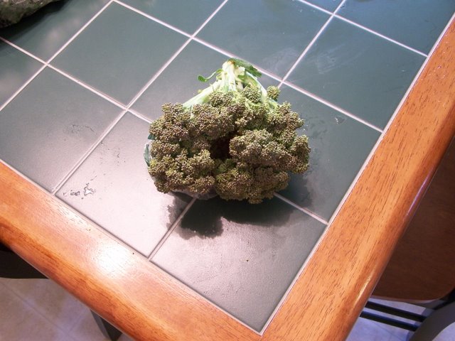 Broccoli