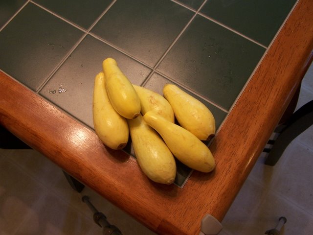 Yellow Squash