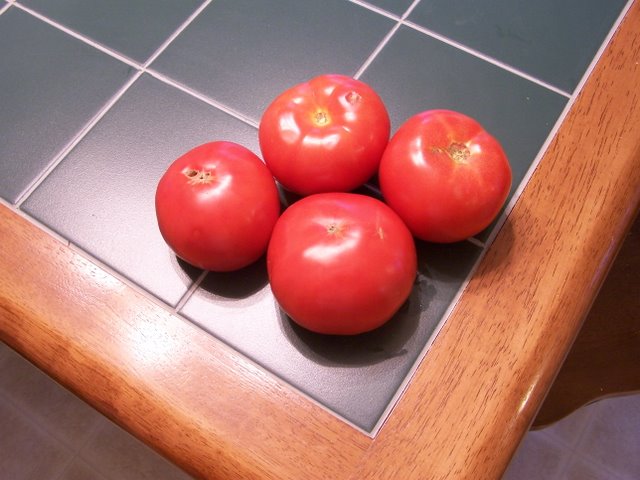 Tomatoes