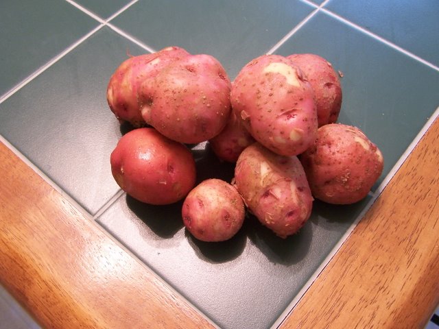 Potatoes