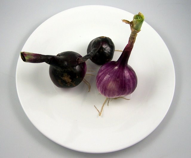 Red Onion