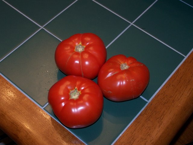 Tomatoes