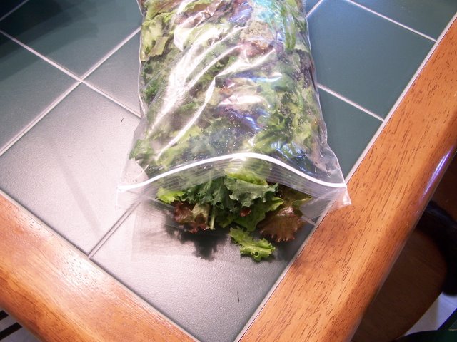 Salad Bag