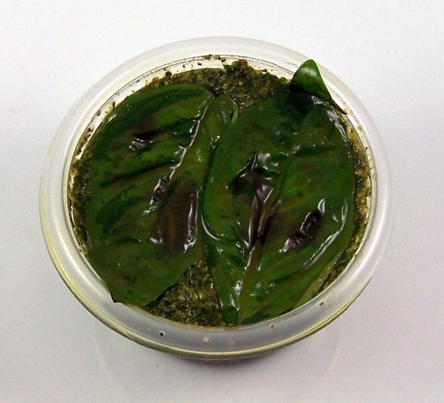 Pesto