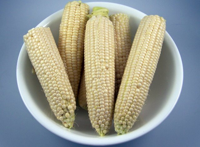 Corn