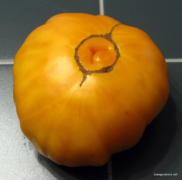 Tomato