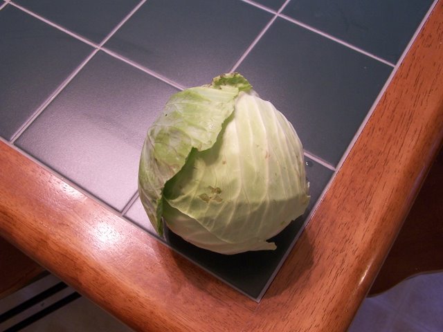 Cabbage