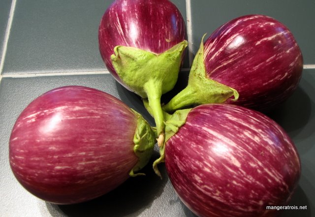 Eggplant