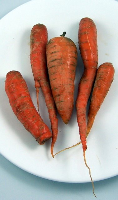 Carrots