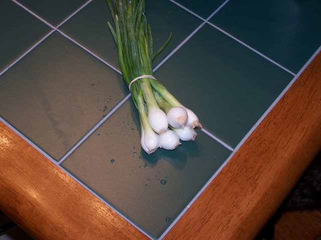 CSA Green Onions