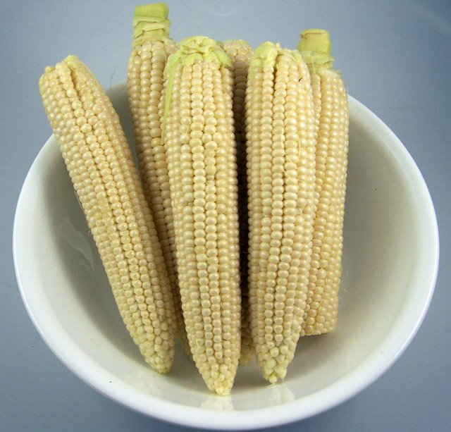 Corn