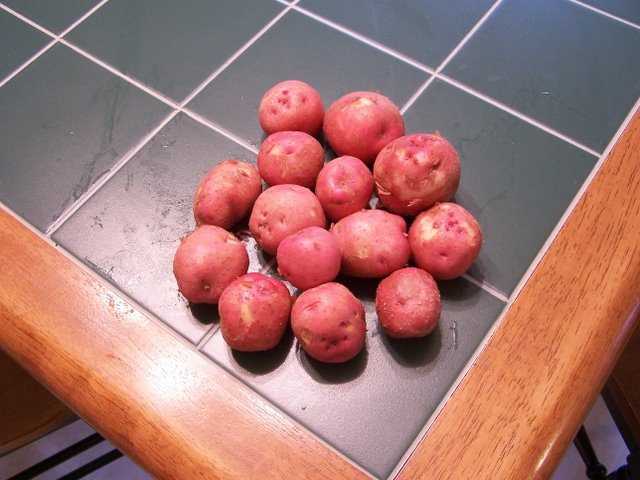 New Potatoes