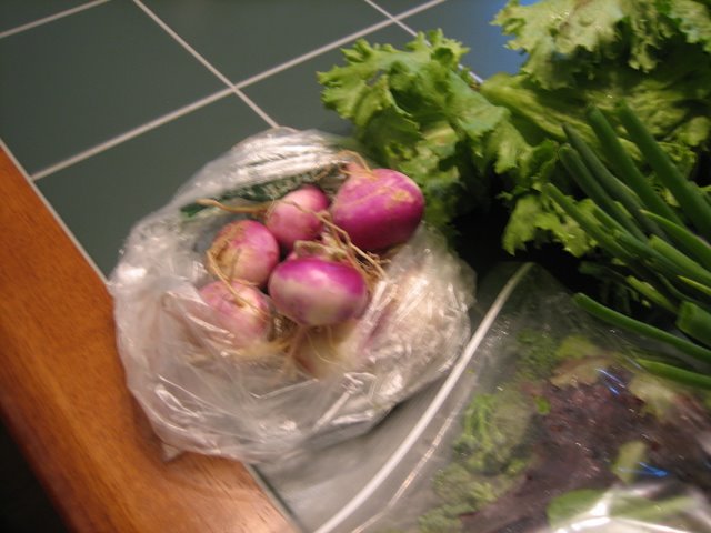 Turnips