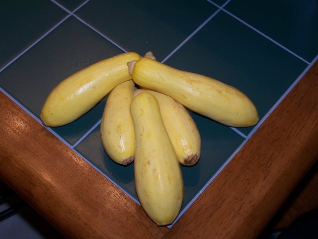 Yellow Squash