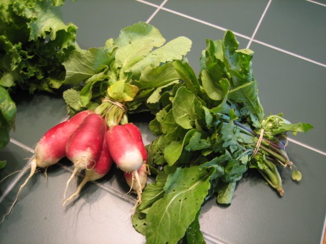 Radish and arugala