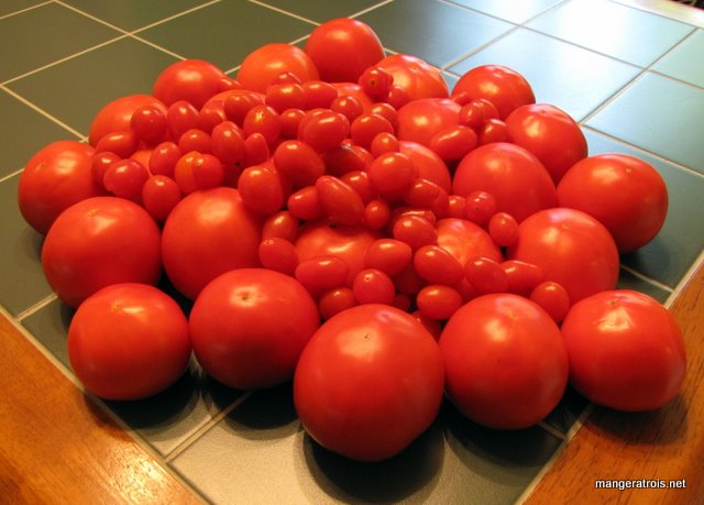 Tomatoes