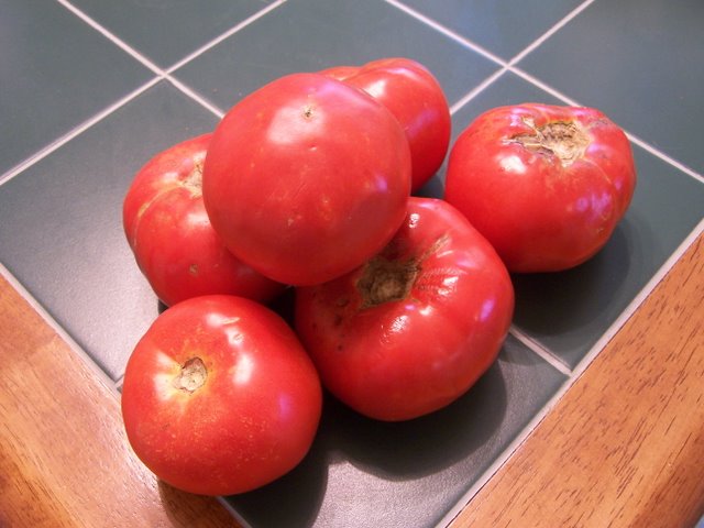 Tomatoes