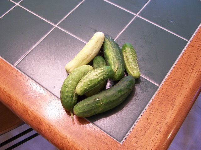 Cucumbers